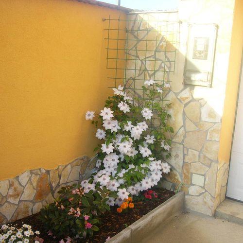 Kustánygyöngye Vendégház Kehidakustány Esterno foto